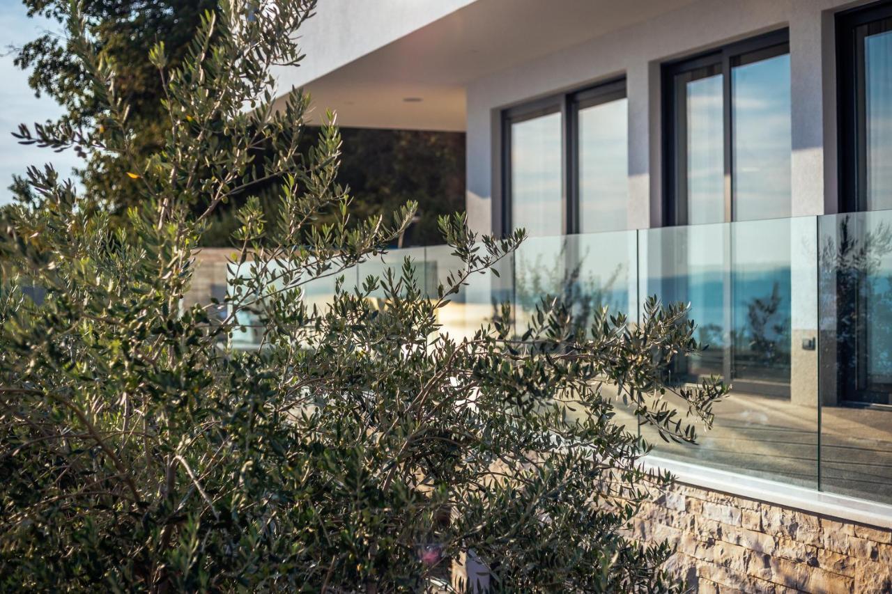 Villa Dispet With Heated Pool, Jacuzzi, Sauna And Cinema Celina Exterior foto